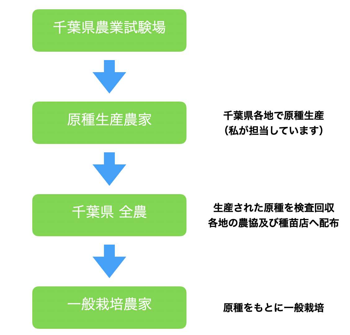 落花生の余った殻の使い道 肥料やクッション材など