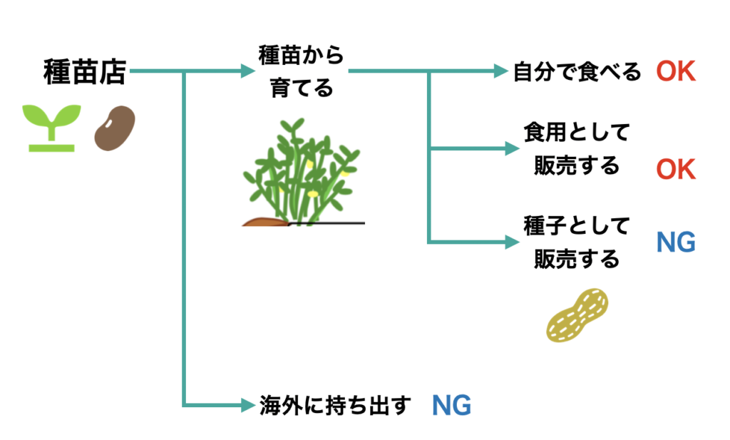 おおまさりなどの落花生の種の保存方法 湿気と高温に注意